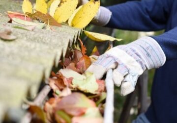 Person with work gloves removing leaves from gutter